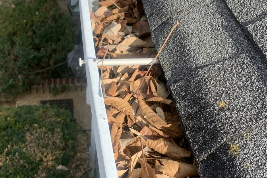 Gutter Cleaning Fincastle